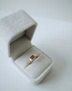 'Purity' Ring